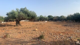 Land for sale in Tavira, Portugal — €57,000