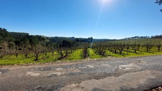 Terreno em Caldas da Rainha