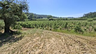 Land for sale in Caldas da Rainha, Portugal — €20,000