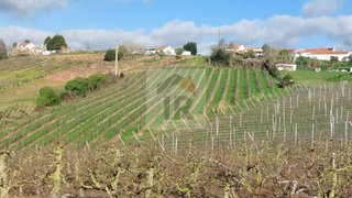 Land for sale in Caldas da Rainha, Portugal — €70,000