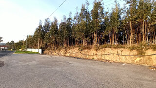 Land for sale in Caldas da Rainha, Portugal — €110,000