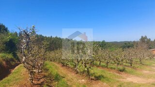 Land for sale in Caldas da Rainha, Portugal — €98,000