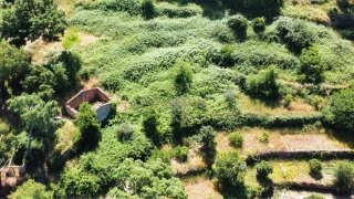 Land for sale in Monchique, Portugal — €225,000
