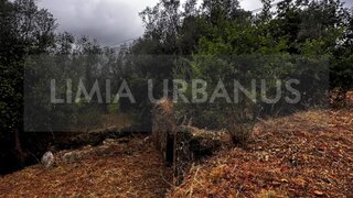 Terreno em Ponte de Lima · 1924 m² · 50 000 €