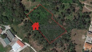 Terreno de 7885 m² em Viseu