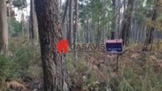 Terreno de 8000 m² em Viseu