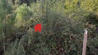 Land for sale in Vila Nova de Paiva, Portugal — €60,000