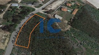 Land for sale in Sever do Vouga, Portugal — €65,000