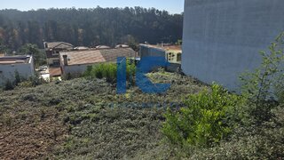 Land for sale in Águeda, Portugal — €35,000