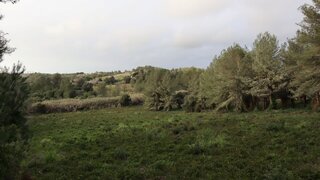 Land for sale in Sintra, Portugal — €100,000