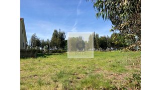 Land for sale in Tondela, Portugal — €40,000