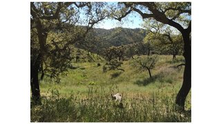 Land for sale in São Brás de Alportel, Portugal — €200,000