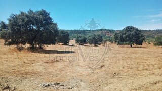 Terreno em Estremoz