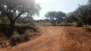 Terreno em Estremoz