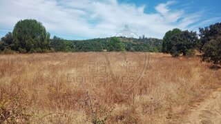 Land for sale in Estremoz, Portugal — €35,000