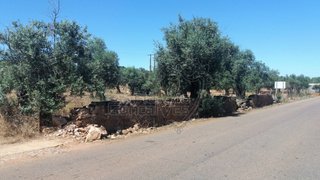 Terreno em Estremoz