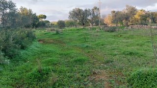 Terreno em Faro · 3040 m² · 30 000 €