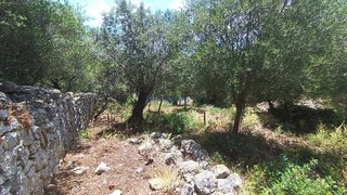 Land for sale in São Brás de Alportel, Portugal — €165,000