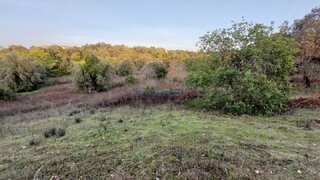 Terreno de 10 800 m² em Faro