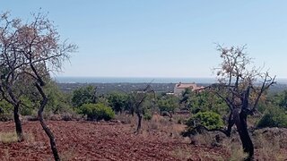 Terreno em Faro · 31 280 m² · 279 000 €
