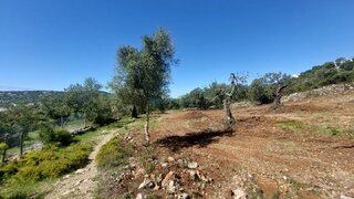 Land for sale in São Brás de Alportel, Portugal — €27,000