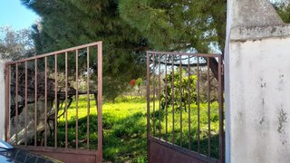 Land for sale in Vidigueira, Portugal — €255,000