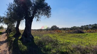 Land for sale in Cuba, Portugal — €43,850