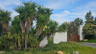 Terreno de 5500 m² em Beja