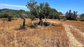 Terreno de 2960 m² em Faro