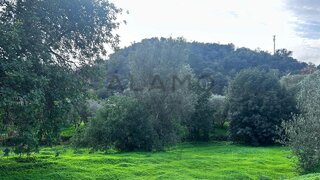 Land for sale in Loulé, Portugal — €160,000