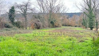 Terreno de 5000 m² em Braga