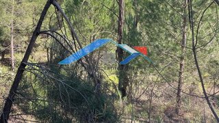 Land for sale in Coruche, Portugal — €50,000