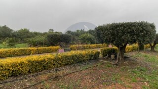 Land for sale in Rio Maior, Portugal — €150,000
