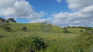 Terreno de 18 720 m² em Santarém