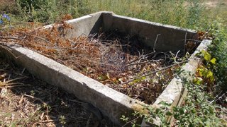 Terreno em Santarém