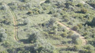 Land for sale in Santarém, Portugal — €39,500