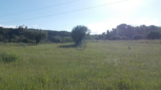 Terreno de 2400 m² em Santarém