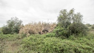 Terreno em Santarém