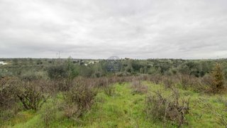 Terreno de 5880 m² em Santarém
