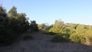Land for sale in Santarém, Portugal — €98,000