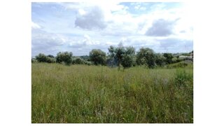 Terreno em Santarém · 6680 m² · 8500 €