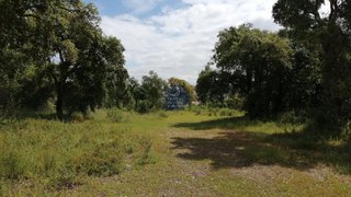 Terreno de 26 800 m² em Santarém
