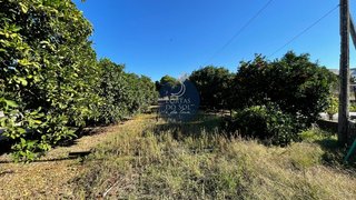 Land for sale in Alpiarça, Portugal — €56,150