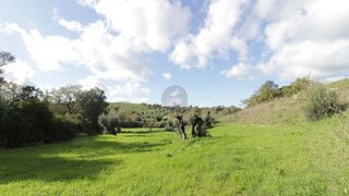 Land for sale in Torres Novas, Portugal — €19,920