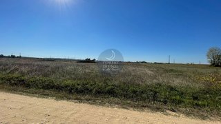 Land for sale in Alpiarça, Portugal — €31,150