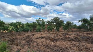 Land for sale in Serpa, Portugal — €150,000