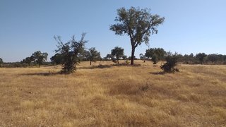 Land for sale in Serpa, Portugal — €110,000