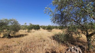 Land for sale in Serpa, Portugal — €95,000