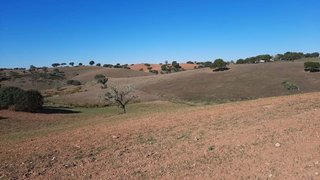 Terreno em Serpa