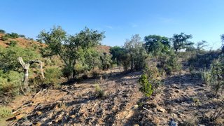 Land for sale in Serpa, Portugal — €30,000